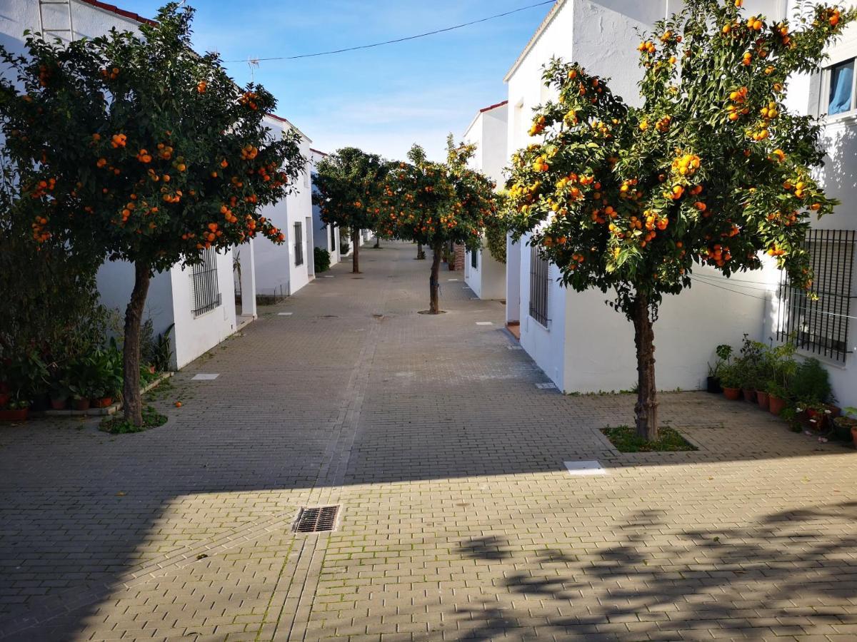 Hermoso Apartamento En Conil Conil De La Frontera Εξωτερικό φωτογραφία